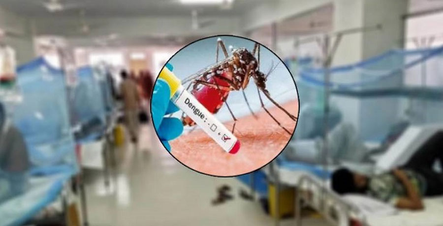 ২৪ ঘণ্টায় ডেঙ্গুতে প্রাণ গেল ৯ জনের, হাসপাতালে ১০৪২ রোগী