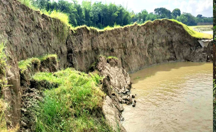 ফরিদপুরের চরভদ্রাসনে পদ্মার ভাঙ্গনে৩০মিটার বাঁধ ও ফসলী জমি নদী গর্ভে 