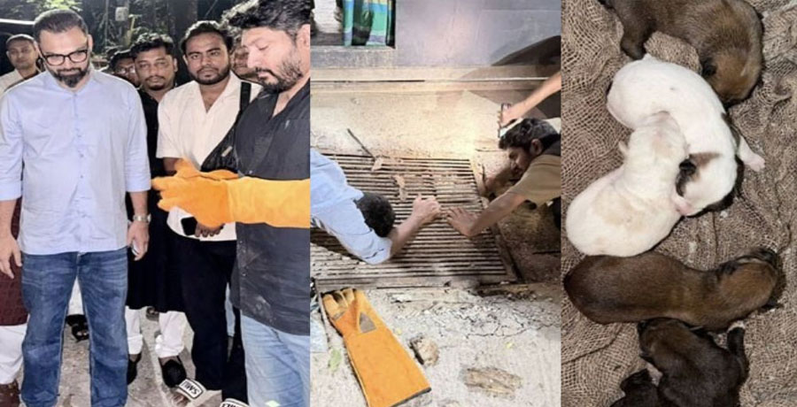 ম্যানহোল থেকে কুকুরছানা উদ্ধার, ক্রীড়া প্রতিমন্ত্রী ও বাওয়ার উদ্যোগ