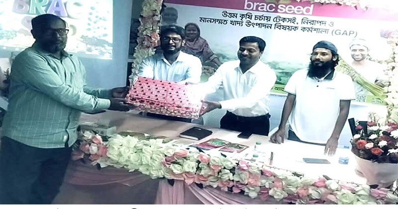 মাধবপুরে ব্র্যাক সীডের উদ্যোগে কৃষি কর্মশালা 
