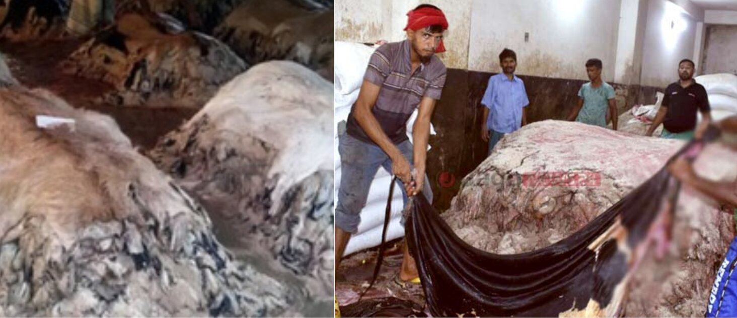   সারাদেশে এবারও  কোরবানীর চামড়ার নিয়ে শঙ্কা