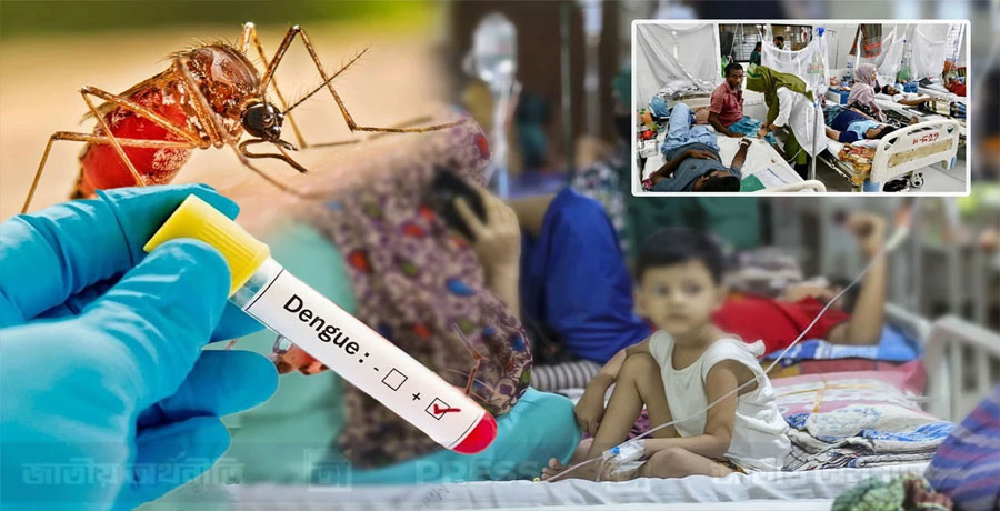 ডেঙ্গুতে আরও ৬ জনের মৃত্যু, হাসপাতালে ভর্তি ১ হাজার ৫৬১ জন